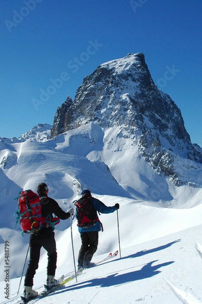 Obraz ossau en hiver