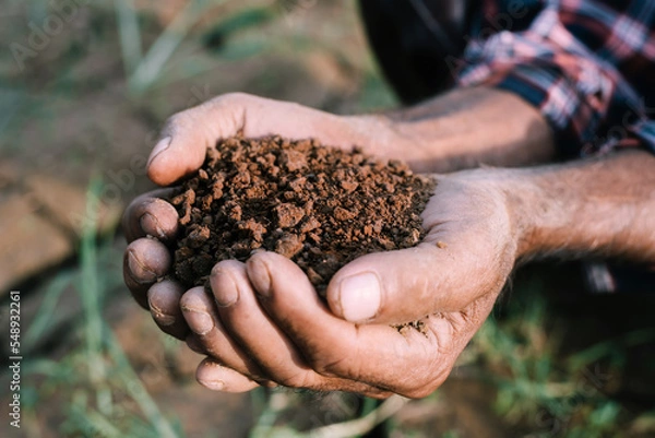 Fototapeta Soil in the hands of farmers. Concept of agriculture.