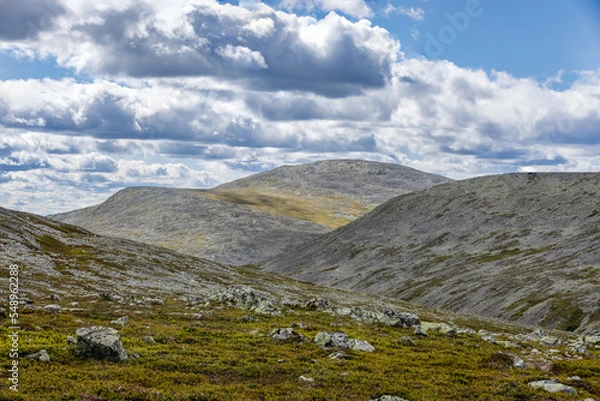 Fototapeta the Nature of Sonfjallet National Park