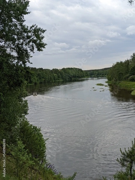 Fototapeta tree root against the backdrop of a wide river in summer