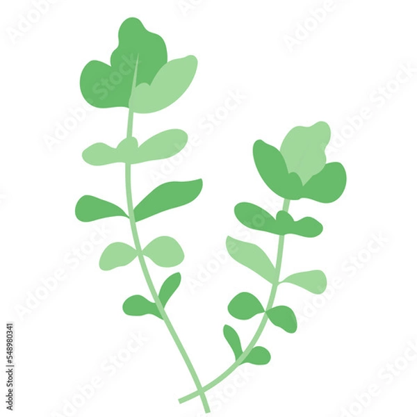 Fototapeta 春の七草のひとつ、ナズナ