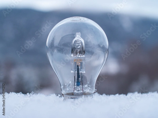 Fototapeta Close-up of a light bulb sticking up from soft snow with a blurred winter landscape in the background