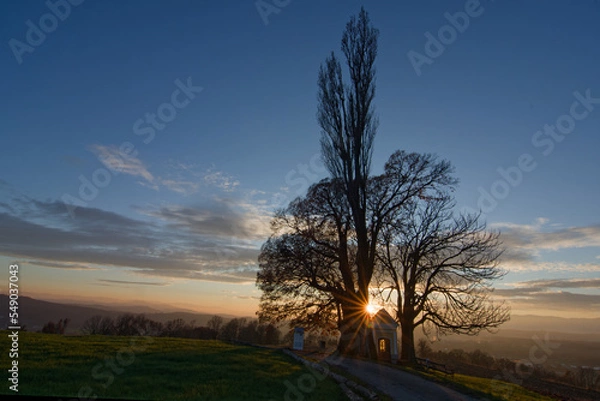 Obraz sunset behind trees