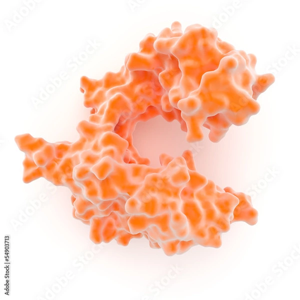 Obraz DNA polymerase