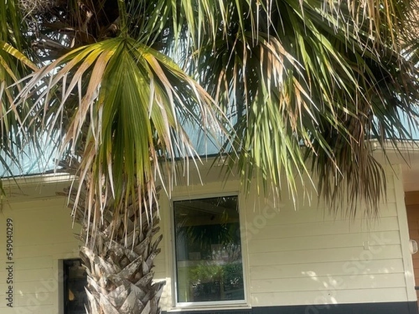 Fototapeta beach hut