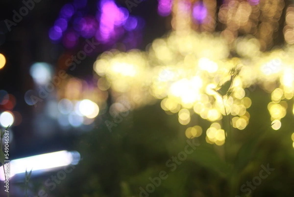 Obraz The bokeh light of icon Siam
