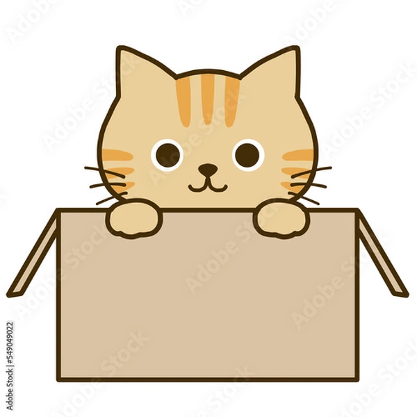 Fototapeta ダンボールに入って何かを伝える茶トラ猫