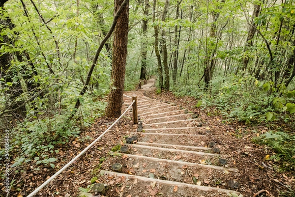 Obraz 軽井沢町白糸の滝付近の山道会談