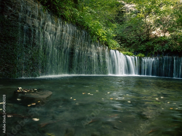 Obraz 長野県軽井沢町白糸の滝の荘厳な景色