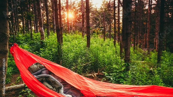 Obraz Wschód Słońca