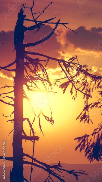 Obraz Zachód Słońca