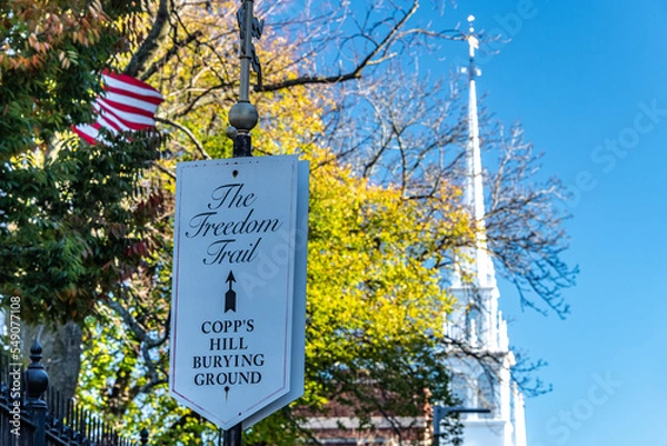 Obraz Freedom Trail Sign