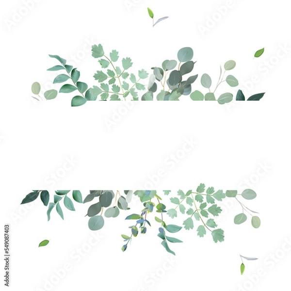 Fototapeta Herbal eucalyptus selection vector frame. Hand painted branches, leaves on white background