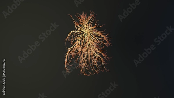 Obraz Human heart made out of lines. Brain medical Concept. 3D Rendering.