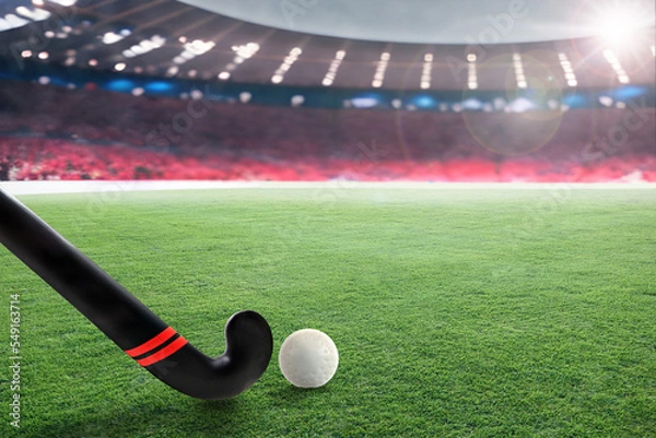Obraz Outdoor Field Hockey Stadium With Stick and Ball, Copy Space