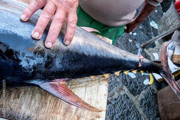 Fototapeta A PISCARIA