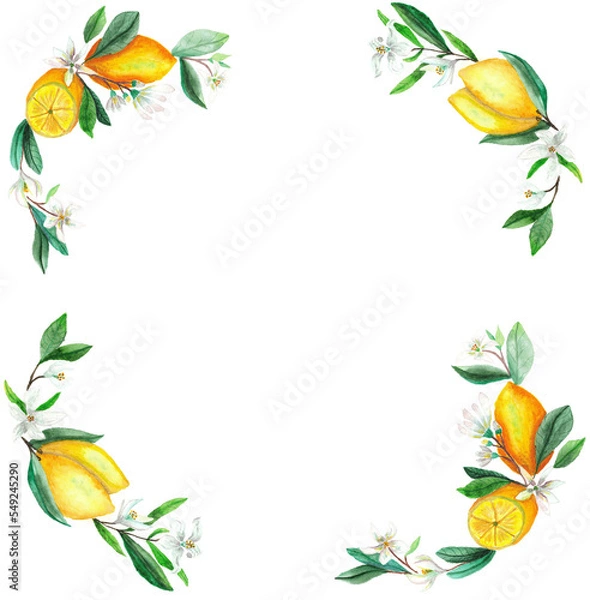 Obraz frame with lemons and flowers