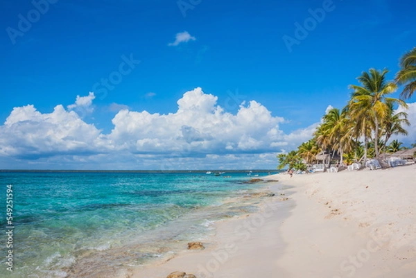 Fototapeta Caribbean beach with a lot of palms and white sand, Dominican Republic. Sunny warm day at the sea under palm trees. Sun loungers under palm trees