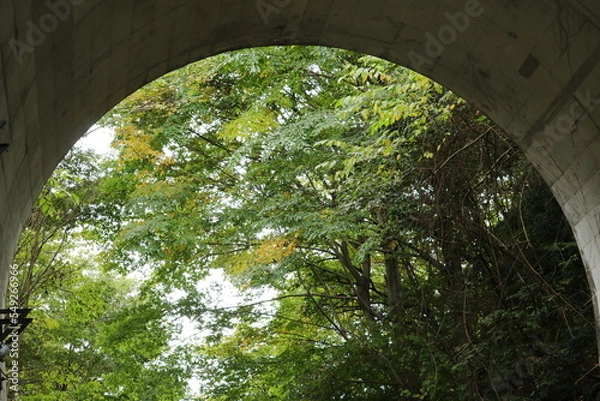 Obraz 峠のトンネル出口