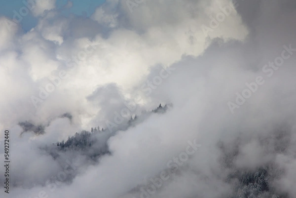 Fototapeta View of cloudy weather over wooded snowy slopes covered by fog and clouds. Landscape in the winter in the mountains. 