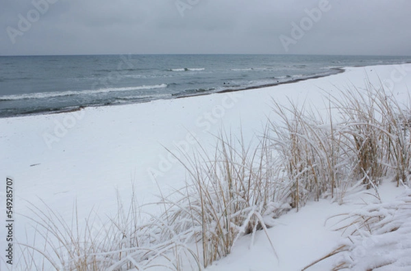 Fototapeta dry grass on a beach covered with snow. Winter sea with small blue waves