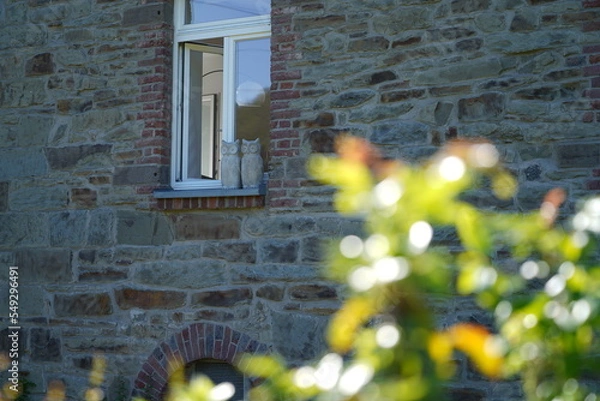 Fototapeta old house in the forest