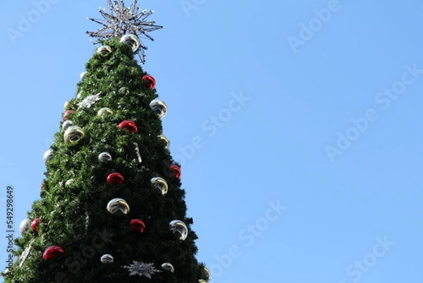 Obraz 青空に映えるクリスマスツリー
