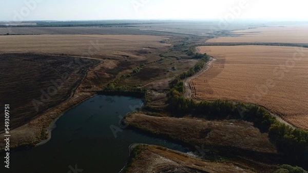 Fototapeta view of the corn field