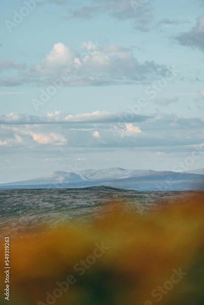 Fototapeta mountain in Sweden at summer time with cloud in the sky