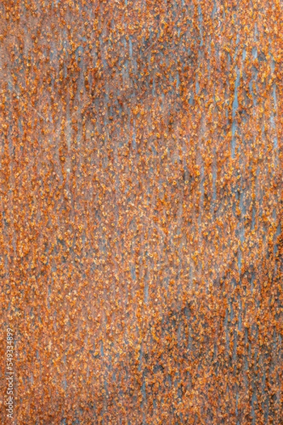 Fototapeta Rustic and rusted textured metal as an abstract background
