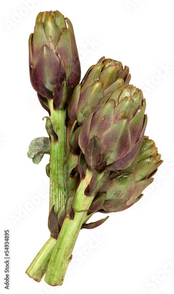 Fototapeta Carciofi
