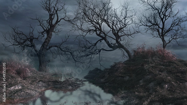 Fototapeta Marsh in foggy december