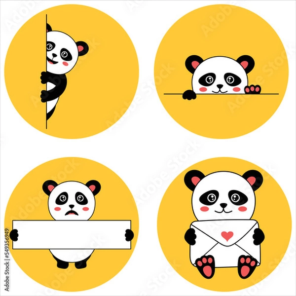 Fototapeta Panda  