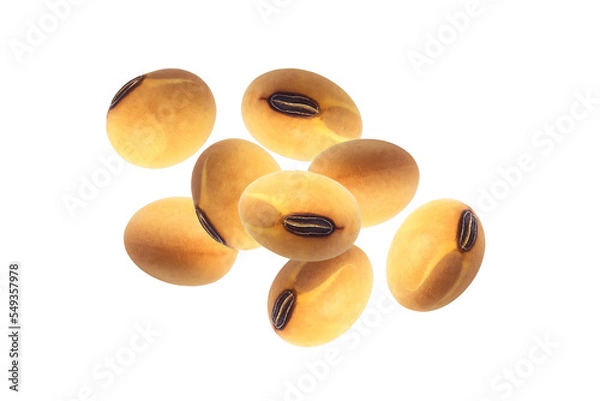 Fototapeta Flying group soybean seeds isolated on white background.