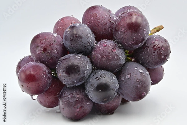 Obraz 葡萄　巨峰
