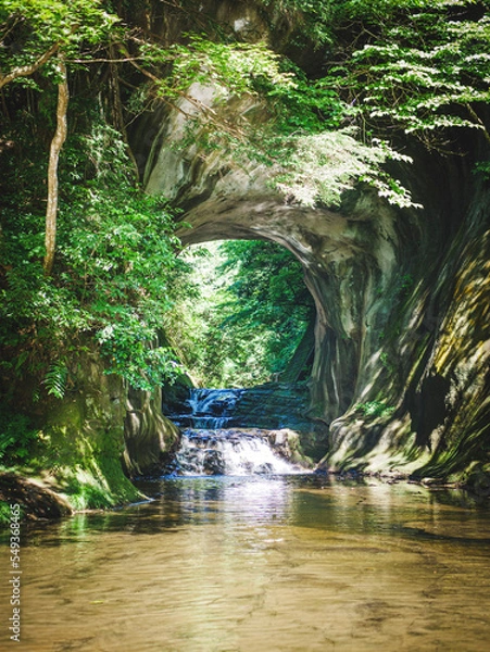 Obraz waterfall in the forest