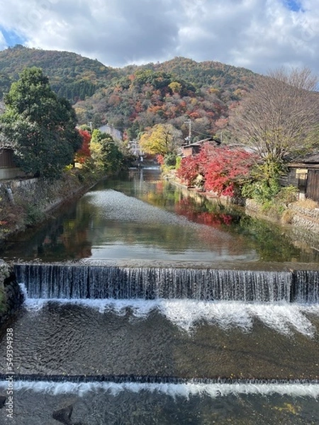 Obraz waterfall in autumn
autumn 
fall
riverside 
river 
blue sky 
blue 
sky 
waterfall 