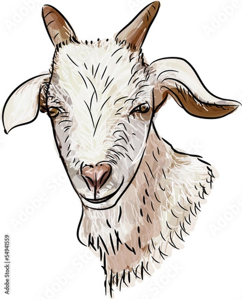 Obraz Ziege gemalt