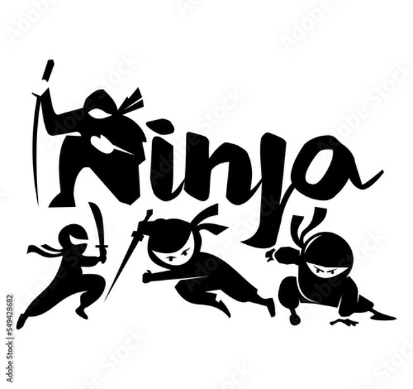 Obraz ninja