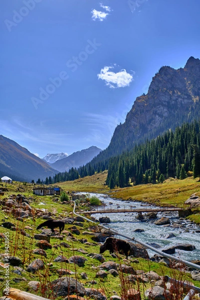 Obraz Kirgistan - Karakol