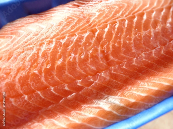 Obraz Lachsfilet
