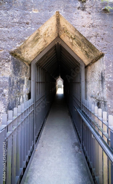 Obraz castle door with metal railing