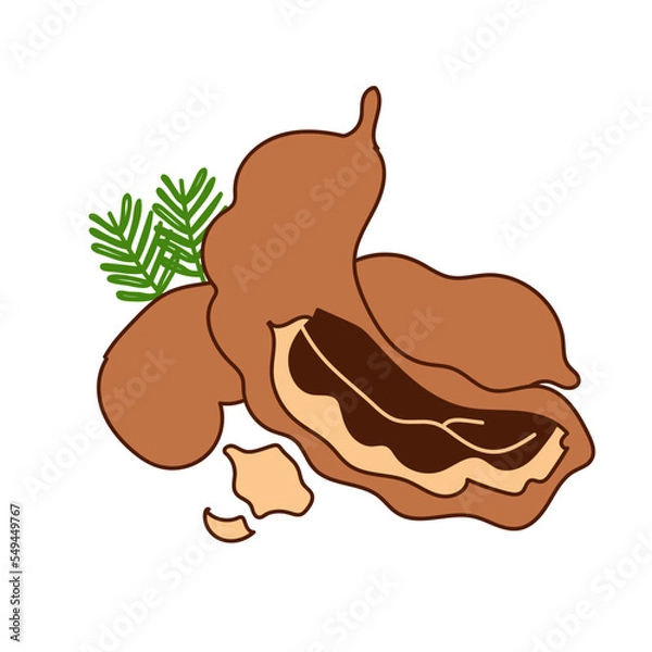 Fototapeta tamarind spice herb