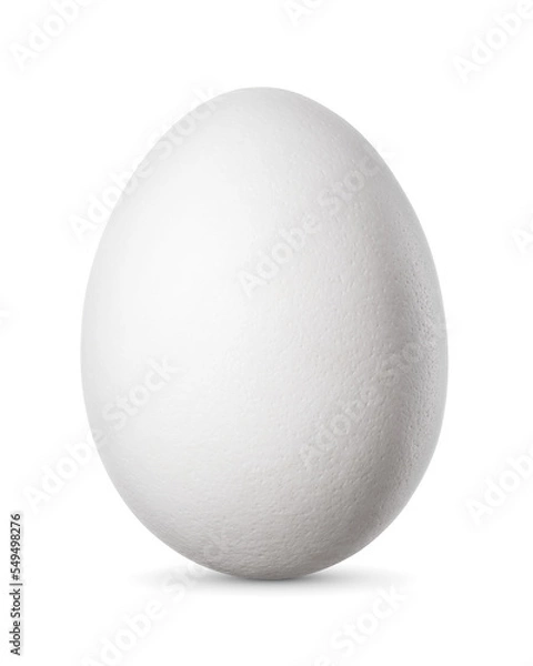 Obraz One chicken egg isolated on white background.
