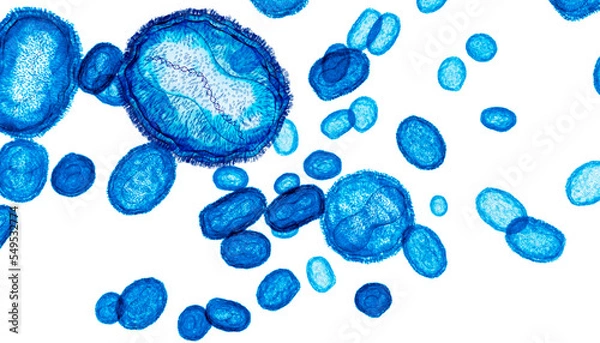 Fototapeta Pox, Mpox (monkey pox) or poxviridae virus flow, one virus showing the DNA inside. 3d visualization on white background