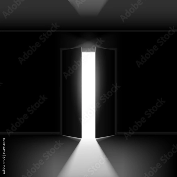 Obraz Double open door