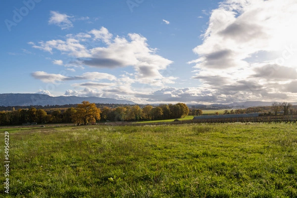 Fototapeta campagne Genevoise