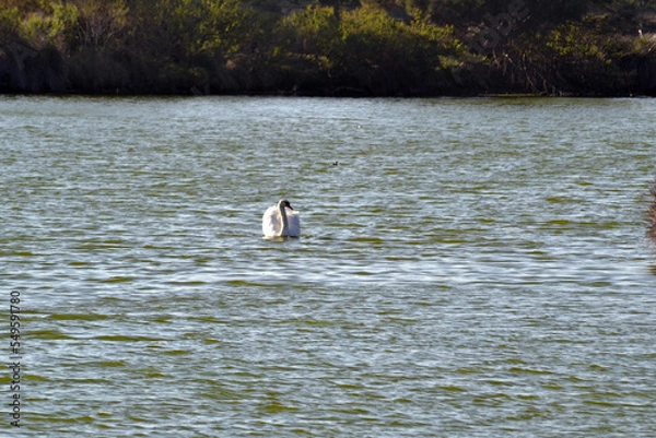 Obraz domaine de Certes