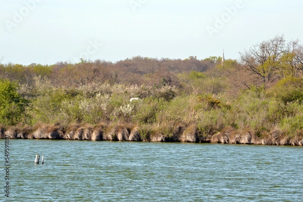 Obraz domaine de Certes