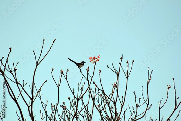 Obraz domaine de Certes